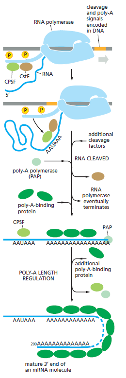Figure 6-35.png